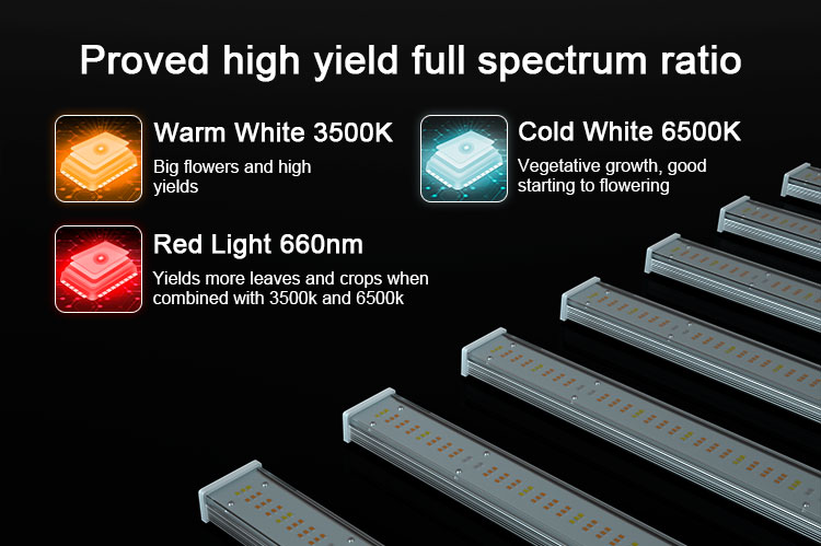 low cost led grow light