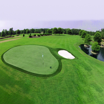 Installations de pratique du club et expériences de golf de vente au détail