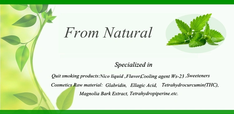 Concentrate Vape Liquid 100% Flavor Mint Series Flavour