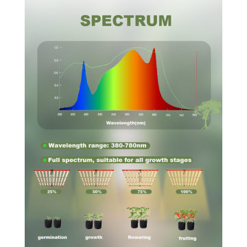 Sistema de hidroponía de alta potencia 1000W LED LECHES