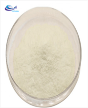 100% Water soluble Mango flavor powder/Mango juice powder