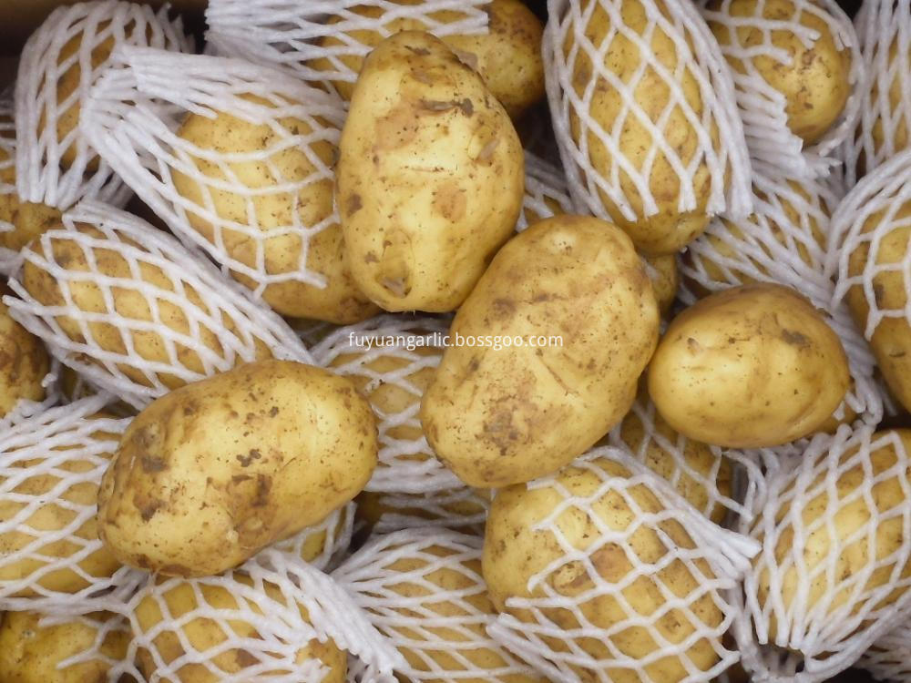 Yellow Potato