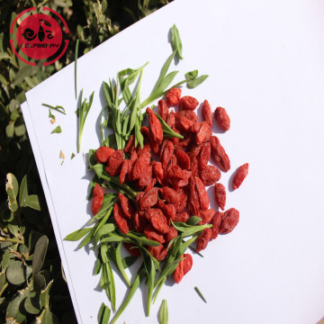 Promote Skin Health Kidney Benefits Organic goji Berries