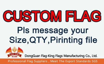 Custom Flag out door flag club flag Election flag sports