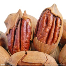 wholesale pecan nut for sale