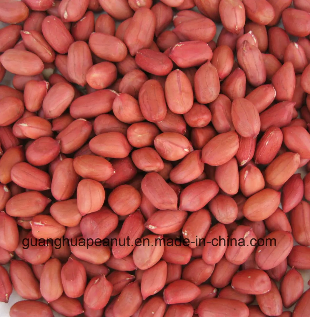 A Grade Hot Sale Red Skin Peanut Kernels/Groundnut