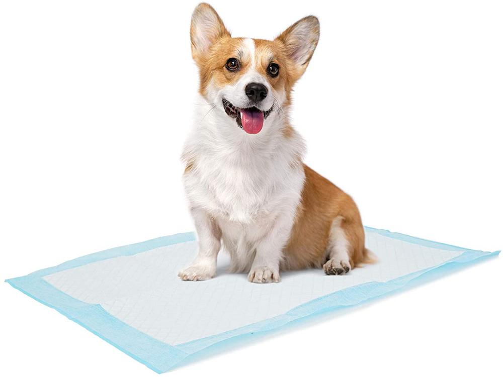 Pee Pad