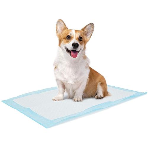 Dog and puppy training pads wee pad