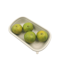 Biodegradable Bagasse Fiber 750ml Disposable Food Tray