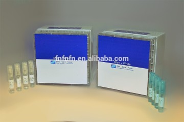 Fibronectin(FN)Cell Regeneration Repair Essence