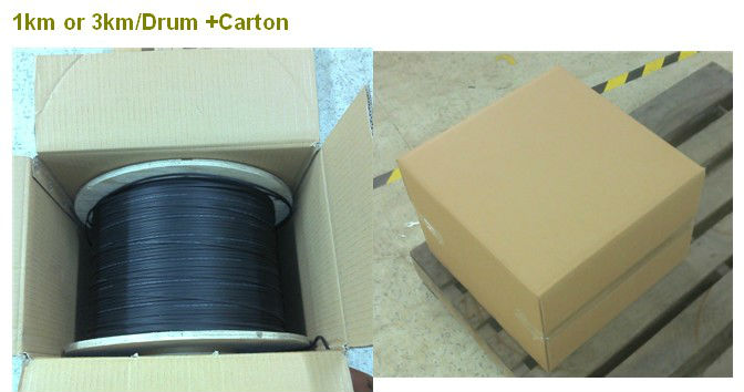 Outdoor to Indoor 4 Core FTTH Optical Fiber Cable - Gjxdh/Gjxfdh