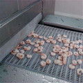 Freezer Terowong IQF IQF untuk makanan laut