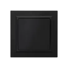 Black 10AX 1G1W Switch Mechanism