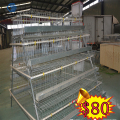 Canary Bird Cage And Bird Cage Decoration