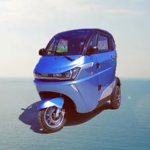 Chinese Mobility Lead Acid Battery Car EEC Approval Scooter