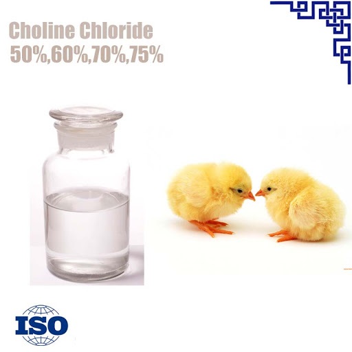 choline chloride