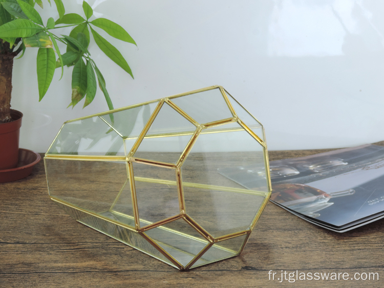 Décoration de terrarium en verre géométrique de jardin à la maison