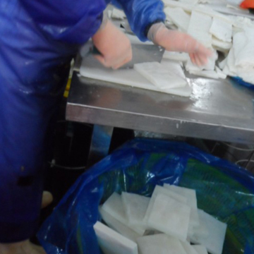 Frozen Giant Squid Fillets Scientific Name Dosidicus Gigas