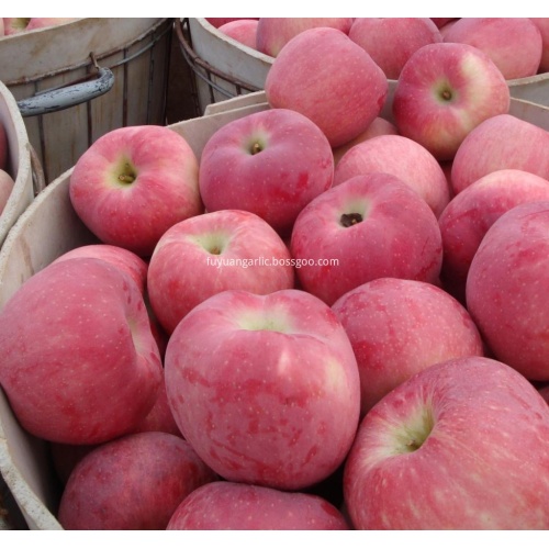 bon goût de pomme étoile rouge