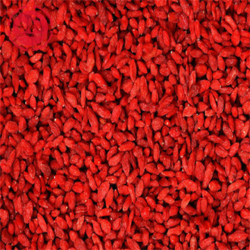 Super Foods Promote Health Wellness Goji Berries