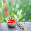 BRC Certified organic goji berry superfood