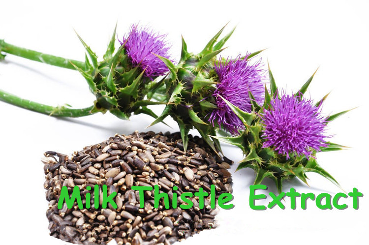 Herb Silybi Extract Herb Silybi Extract