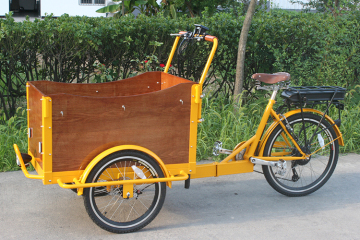 Cargo Bike 3 Wheel Electric Cargo Car