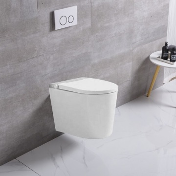 Tankless Foot Flush Toilet Automatic Toilet