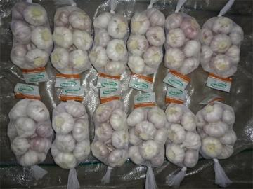 How Do You Keep Fresh Garlic