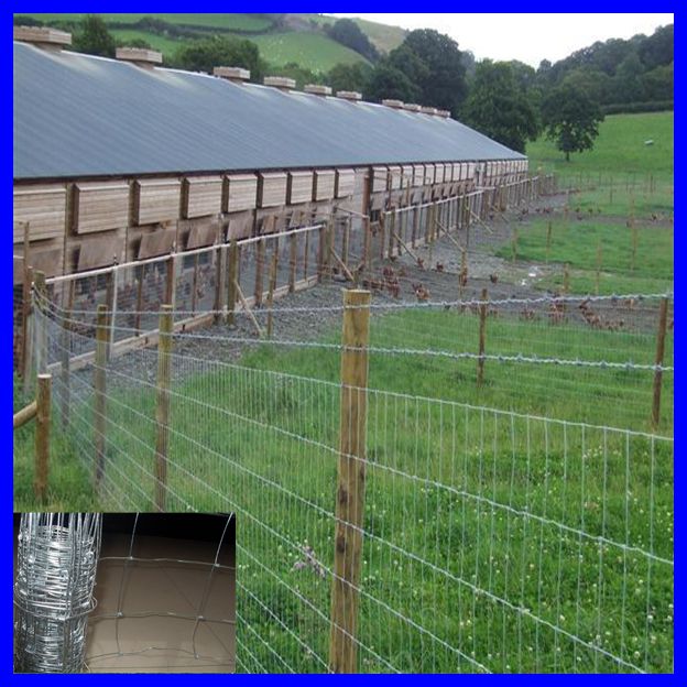 Hot Dip Galvanzied Farm Fence