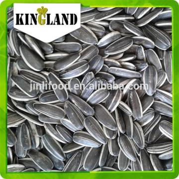 Pink bulk sunflower seeds