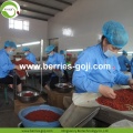 Sup Memasak Semulajadi Pemakanan Semula Jadi Dry Goji Berry