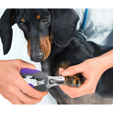 Clipper à ongles pour animaux de compagnie de haute qualité