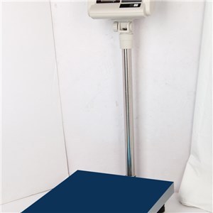 Electronic Platfrom Scale TS-822