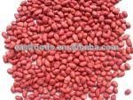 light red kidney beans from China