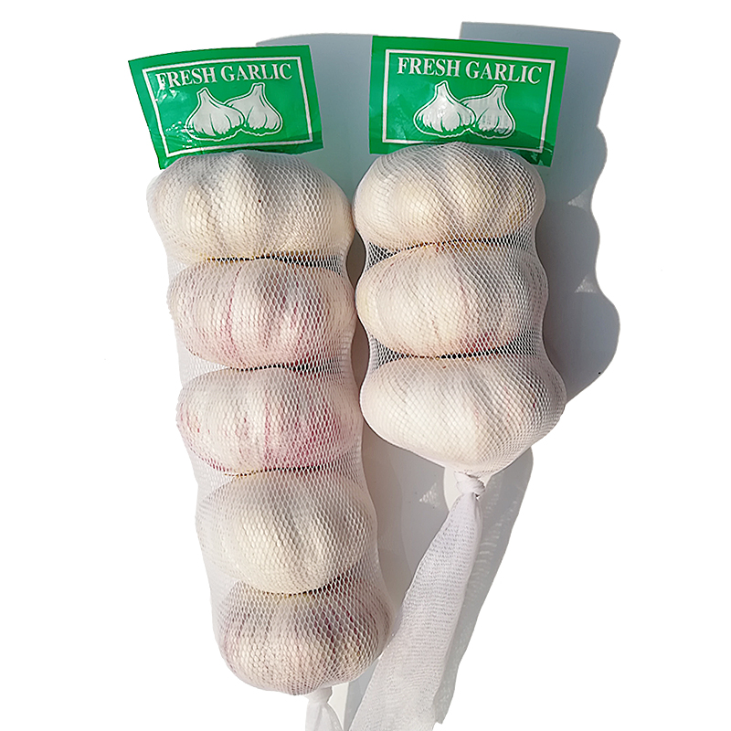 Export Red Chinese Garlic Vegetable Price Small Mesh Bag Packing Export Red Chinese Garlic Vegetable Price Small Mesh Bag Packing