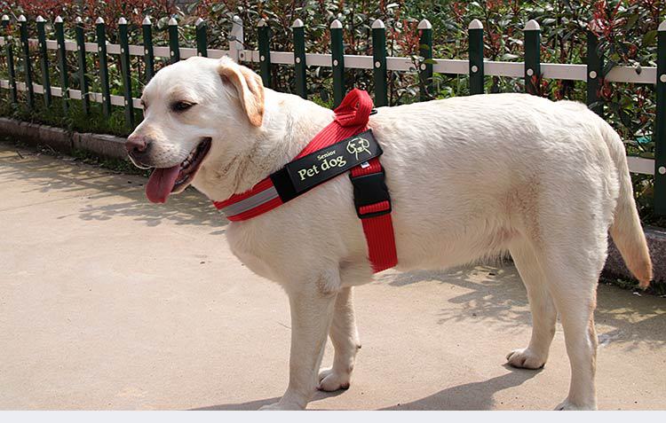 Teddy Dog Leash Dog Rope Explosion-proof and reflective Medium Large Dog Golden Retriever Labrador Vest