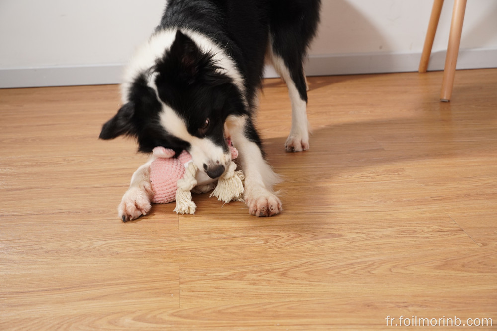 chien à mâcher animal de compagnie lapin jouet