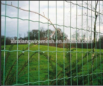 Hot sale great quality Euro Fence/Holland mesh/Holland Fence