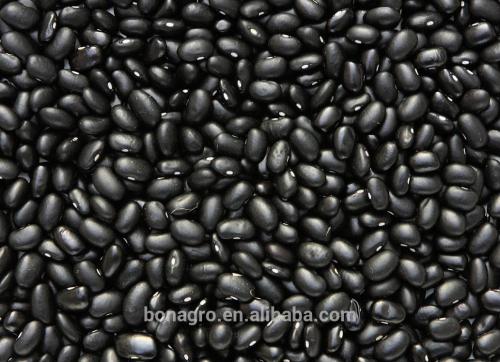 Chinese dried small black kidney bean