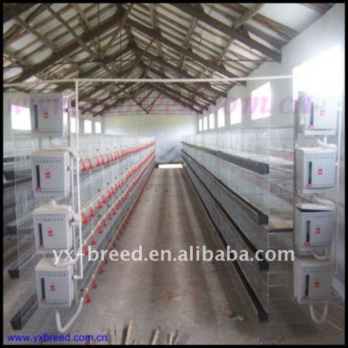 galvanized poultry broiler battery cages