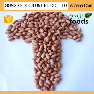 Hot Sale Peanuts Kernels China Peanuts Kernels