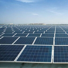 300Wp high efficiency module