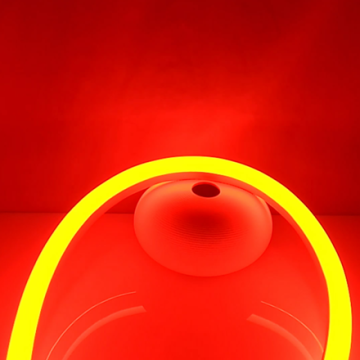 Waterproof outdoor wall decoration flexible light