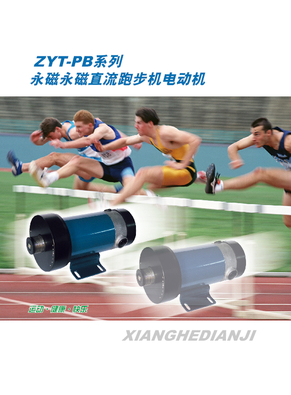 DC Motor for Treadmill (90V/110V/180V/220V)