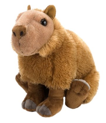 capybara plush stuffed animal toy