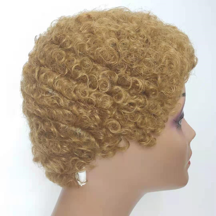 Machine Made No Lace  kinky Afro  Curly  Natural Human Hair Short Cut Wigs