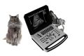Notebook B Ultrasound Diagnostic Scanner for Animals