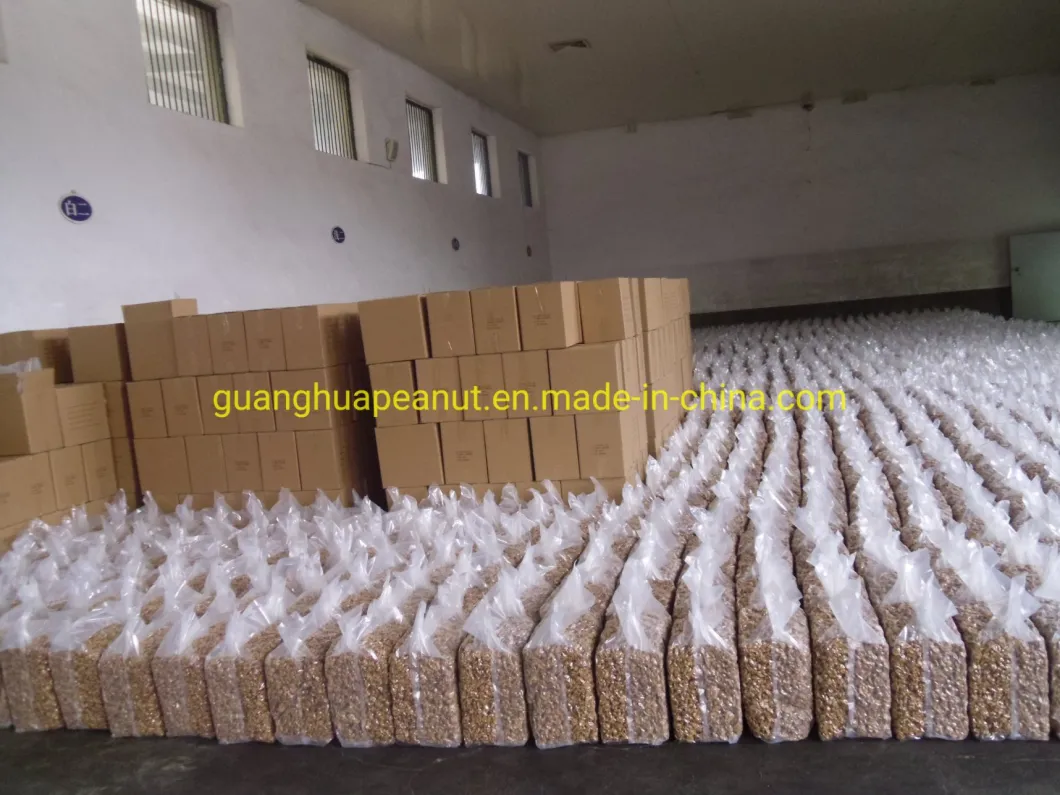 New Crop Walnut in Shell 2021 Good Quality 185