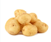 Selected Quality Fresh Potato